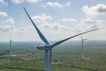 Viento de cambio: El impacto del parque eólico de Yucatán